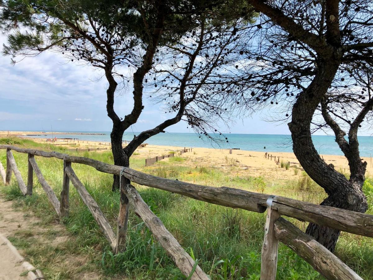 Condominio Zenith Bibione Zewnętrze zdjęcie